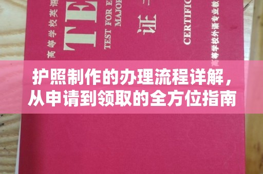 达孜护照制作的办理流程详解，从申请到领取的全方位指南