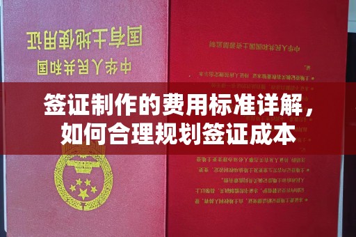 达孜签证制作的费用标准详解，如何合理规划签证成本
