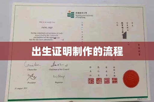 达孜出生证明制作的流程
